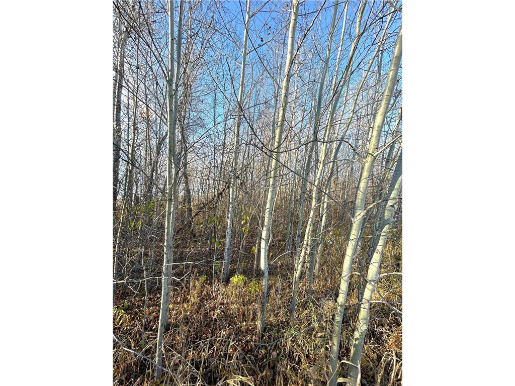 36615 County Road 13 Warroad MN 56756 7008600 image8