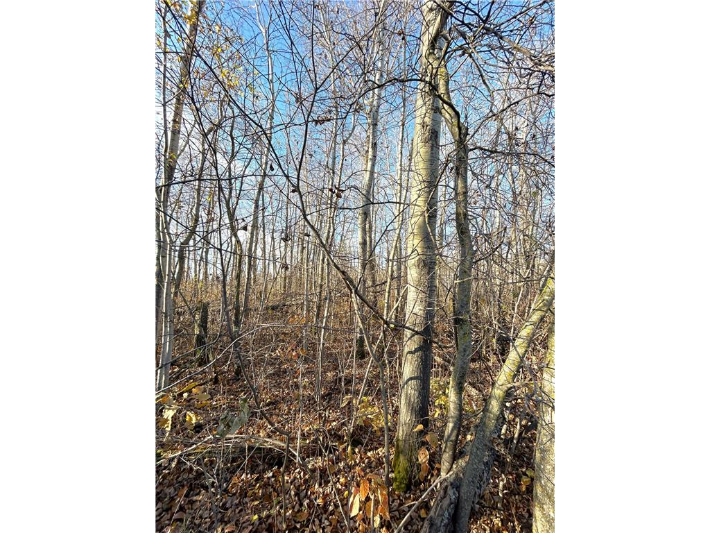 36615 County Road 13 Warroad MN 56756 7008600 image9