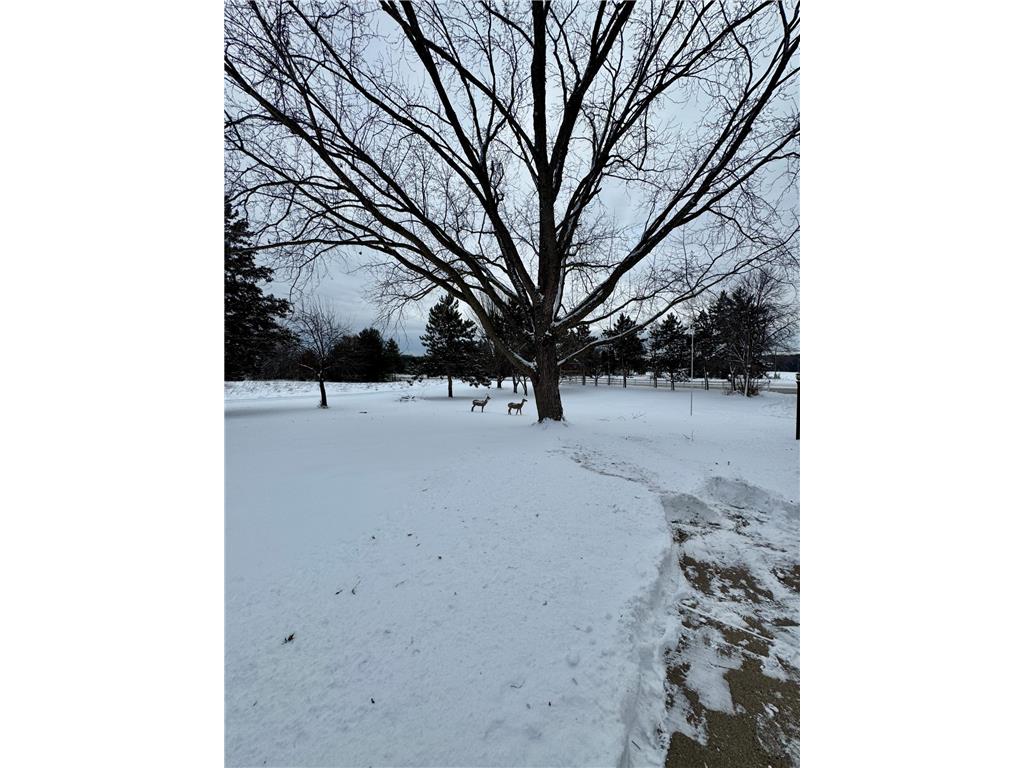 3663 125th Avenue NE Blaine MN 55449 6824153 image22