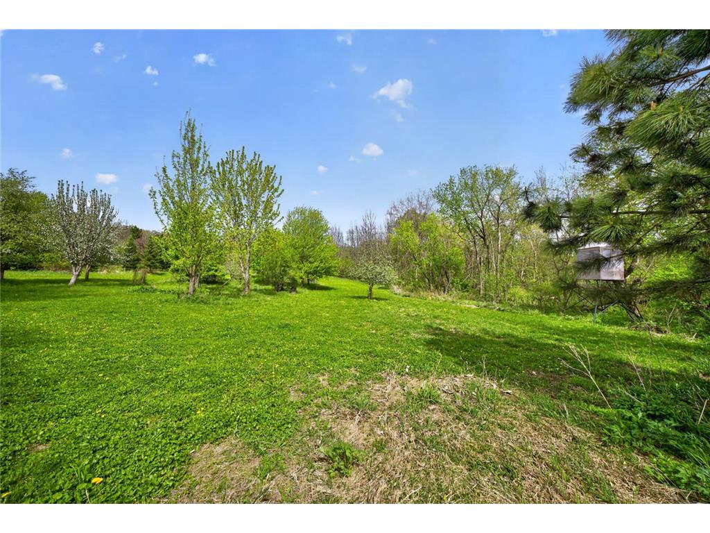 36649 Ember Drive Holt Twp MN 55949 7069847 image21