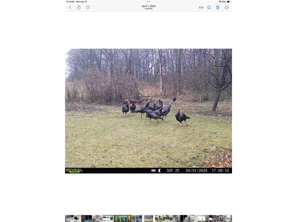 36649 Ember Drive Holt Twp MN 55949 7069847 image61