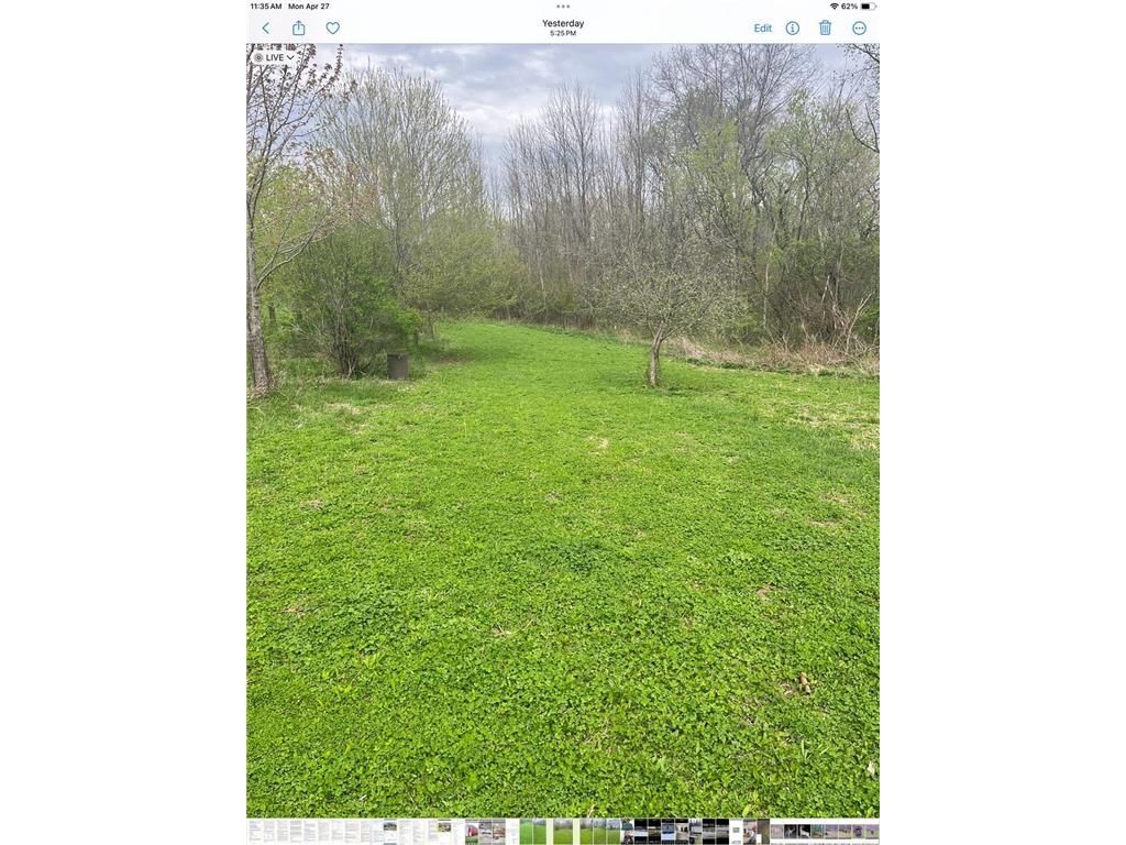 36649 Ember Drive Holt Twp MN 55949 7069847 image63