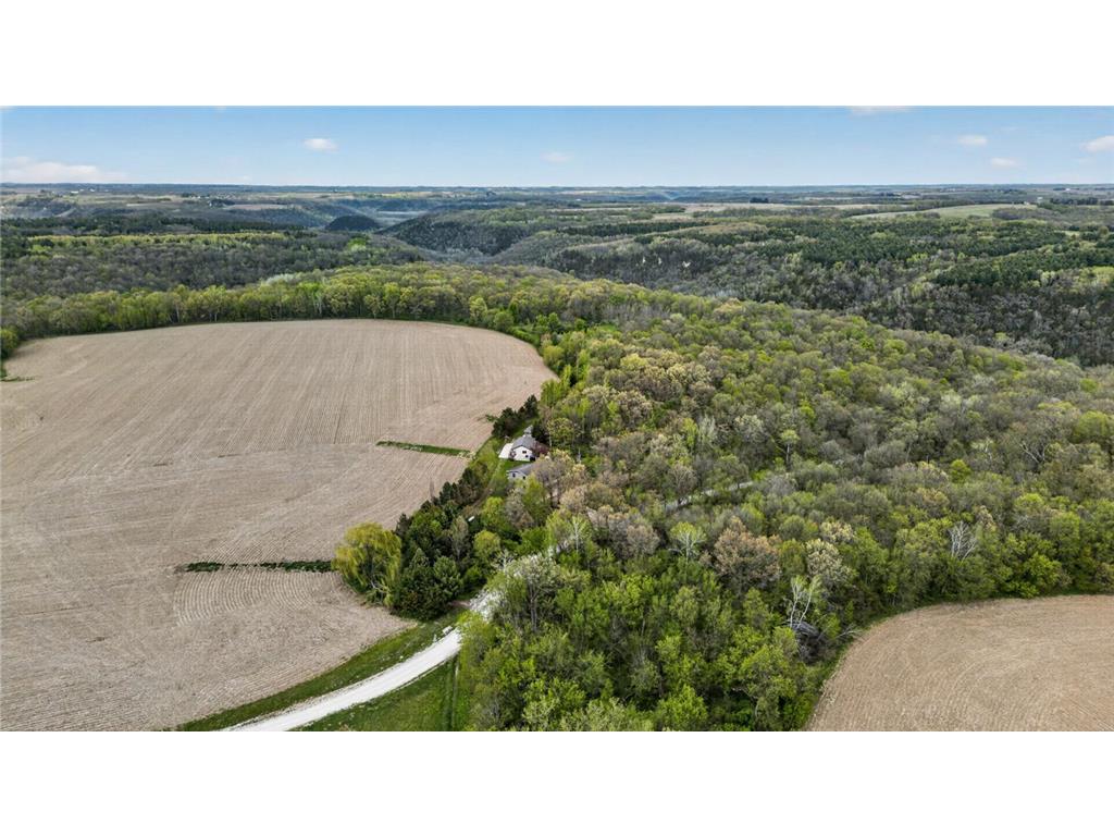 36649 Ember Drive Holt Twp MN 55949 7069847 image64