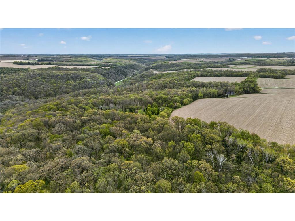 36649 Ember Drive Holt Twp MN 55949 7069847 image68