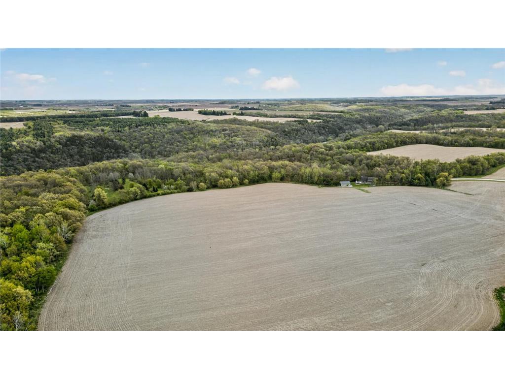 36649 Ember Drive Holt Twp MN 55949 7069847 image69