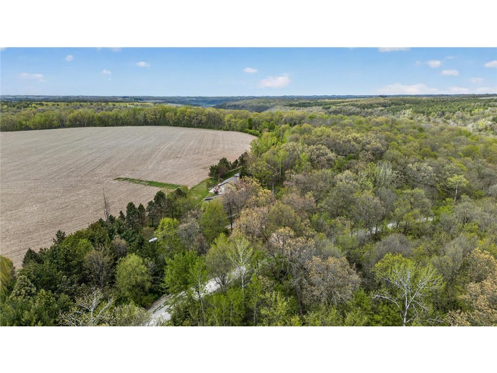 36649 Ember Drive Holt Twp MN 55949 7069847 image80