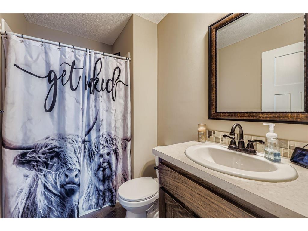 3665 235th Lane NW Saint Francis MN 55070 6815854 image28