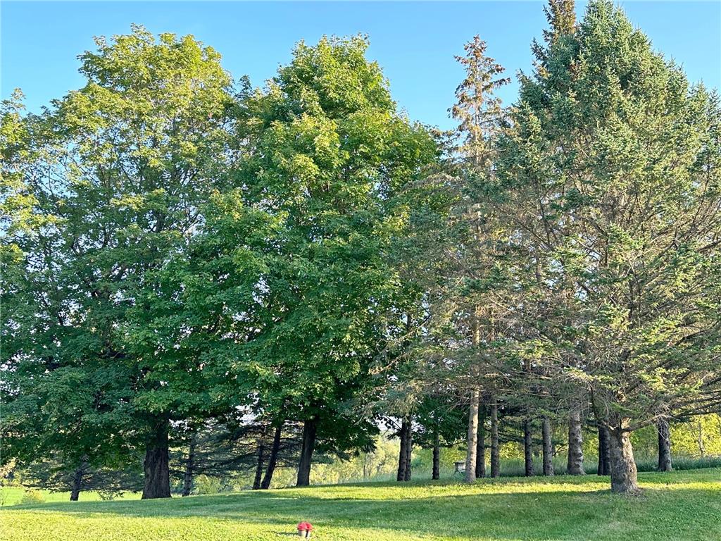 3665 Pleason Avenue NW Annandale MN 55302 6826499 image17