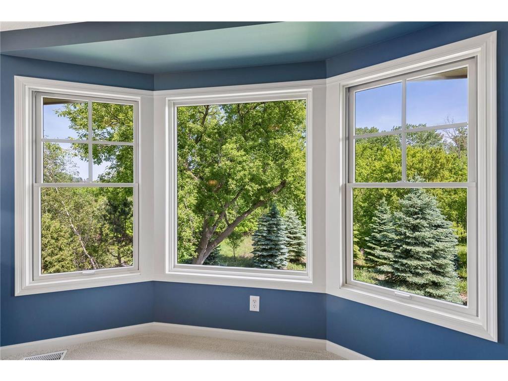3667 Lerive Way Chaska MN 55318 - Bavaria 7084133 image39