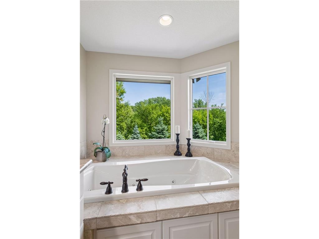 3667 Lerive Way Chaska MN 55318 - Bavaria 7084133 image41
