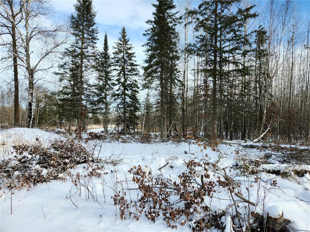 3670 County Road 97 International Falls MN 56649 - Rat Root 6826847 image35