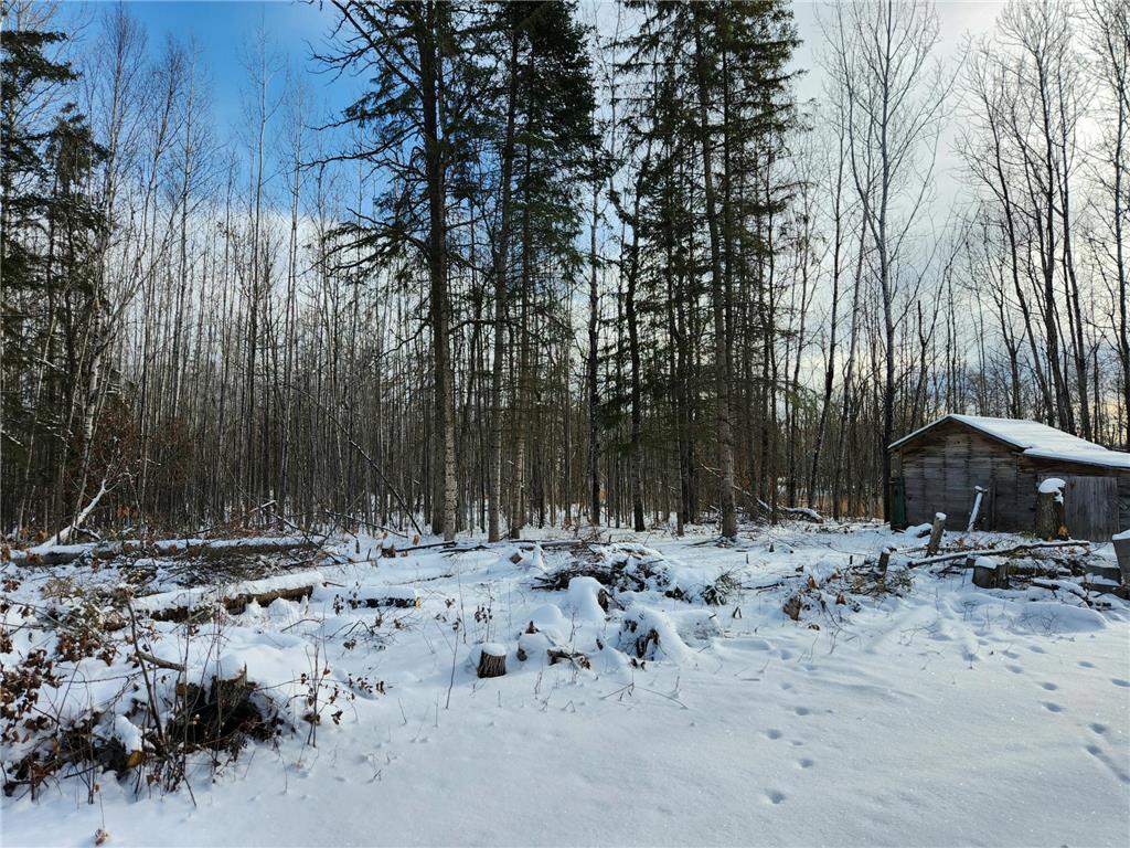 3670 County Road 97 International Falls MN 56649 - Rat Root 6826847 image37