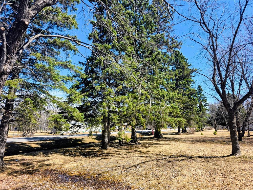 3672 County Rd 92 E Ranier MN 56668 7029776 image1