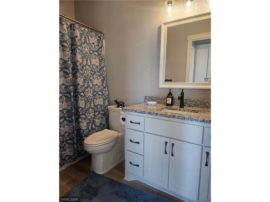 36731 Helium Street NW Wyanett Twp MN 55017 7109708 image11