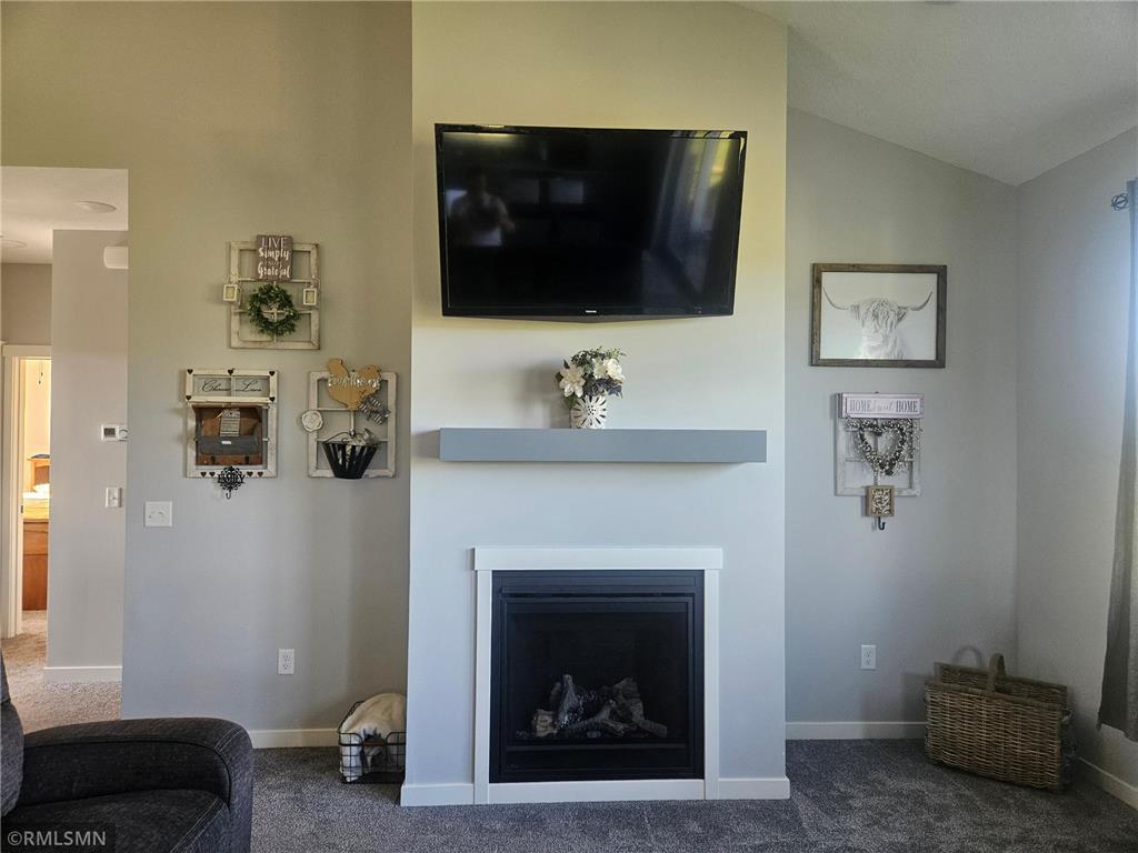 36731 Helium Street NW Wyanett Twp MN 55017 7109708 image4