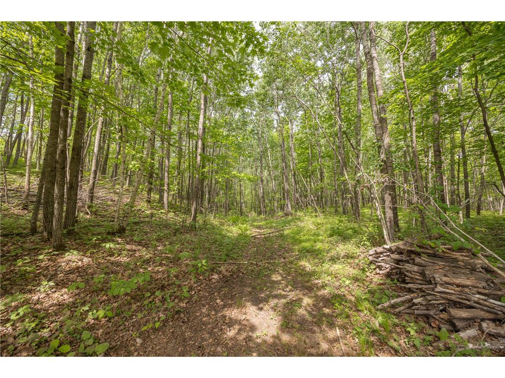 3677 County 54 NE Longville MN 56655 - Little Boy Lake 7083641 image49