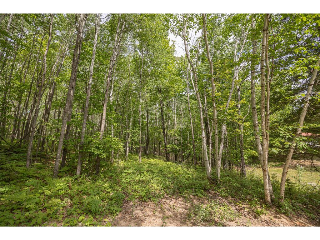 3677 County 54 NE Longville MN 56655 - Little Boy Lake 7083641 image50