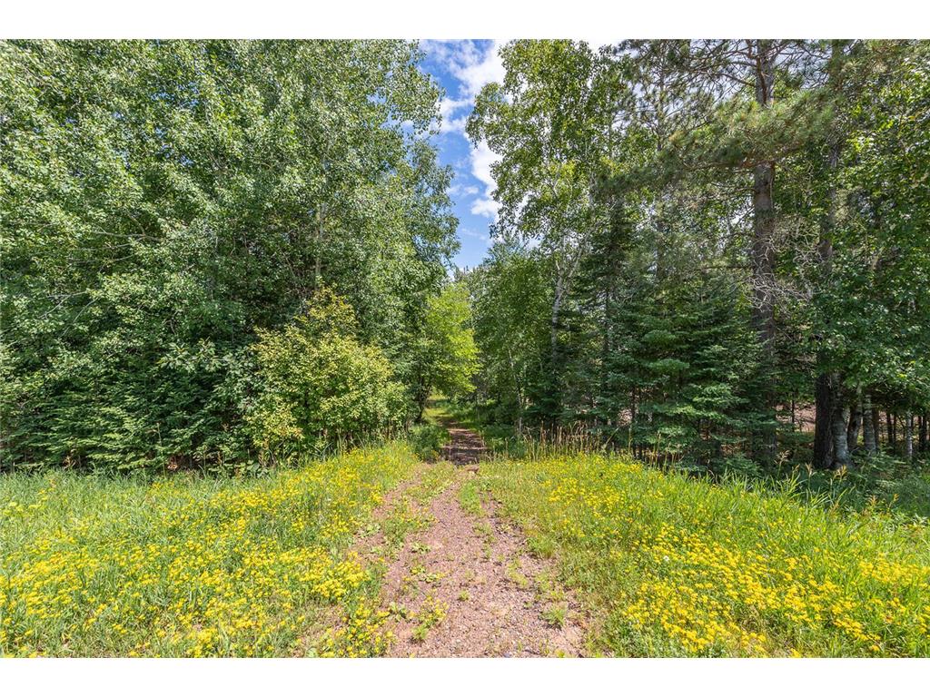 3677 County 54 NE Longville MN 56655 - Little Boy Lake 7083641 image67