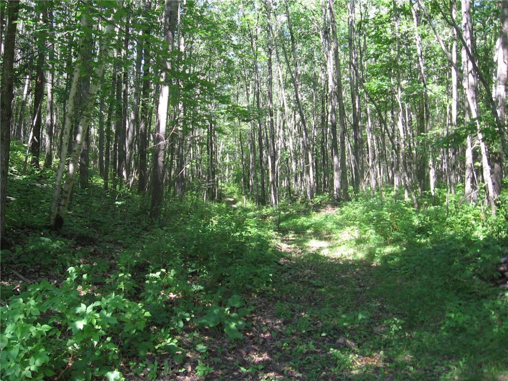 3677 County Road 54 NE Longville MN 56655 - Little Boy Lake 6704655 image41