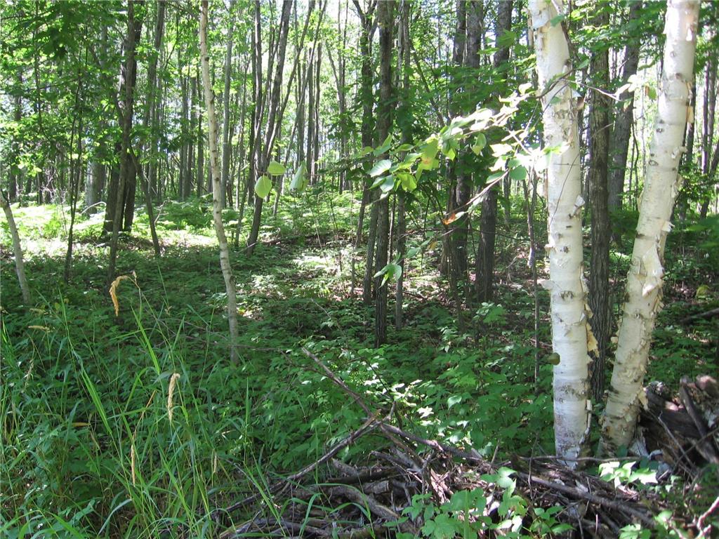 3677 County Road 54 NE Longville MN 56655 - Little Boy Lake 6704655 image42