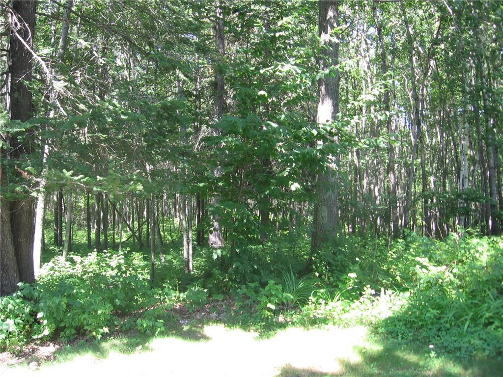 3677 County Road 54 NE Longville MN 56655 - Little Boy Lake 6704655 image44