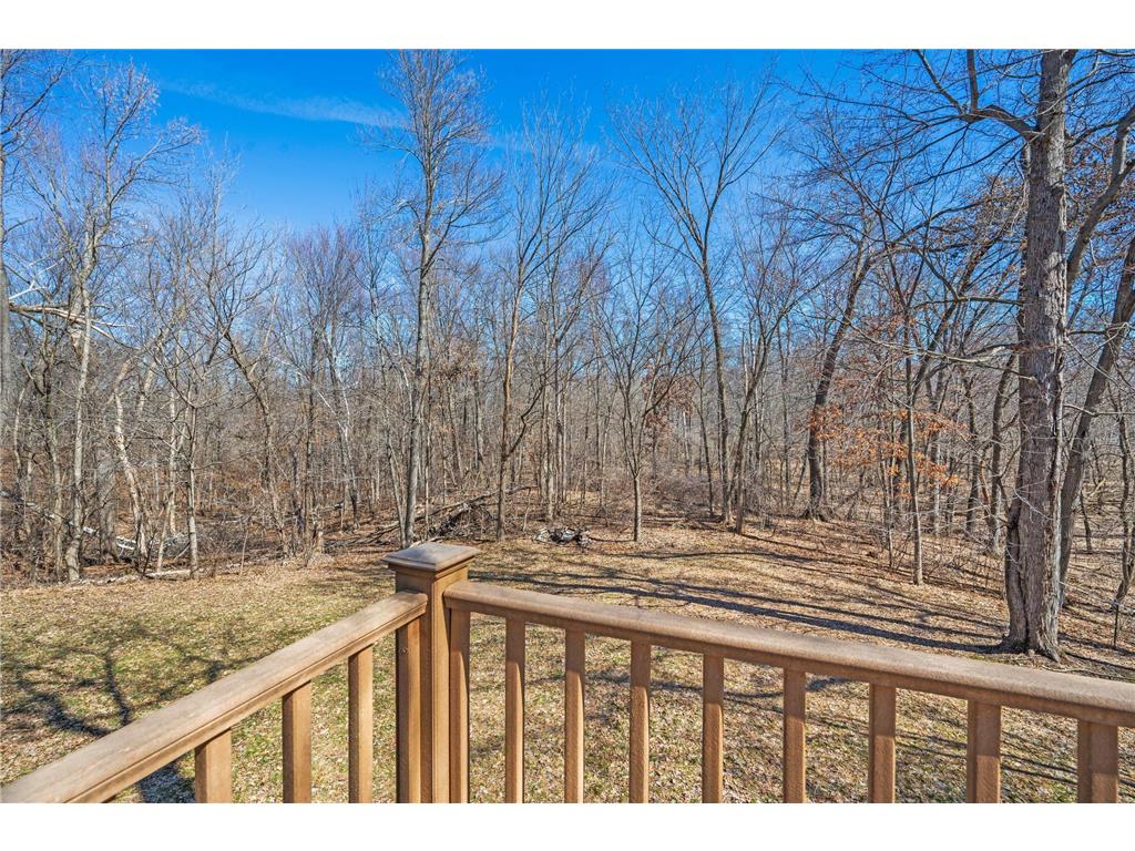 368 280th Street East Farmington WI 54020 7039717 image38
