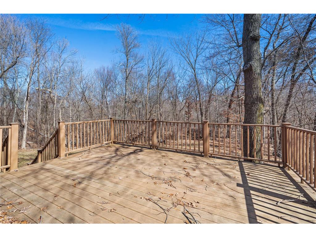 368 280th Street East Farmington WI 54020 7039717 image39
