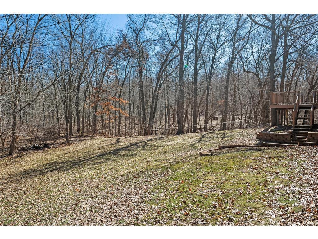 368 280th Street East Farmington WI 54020 7039717 image40