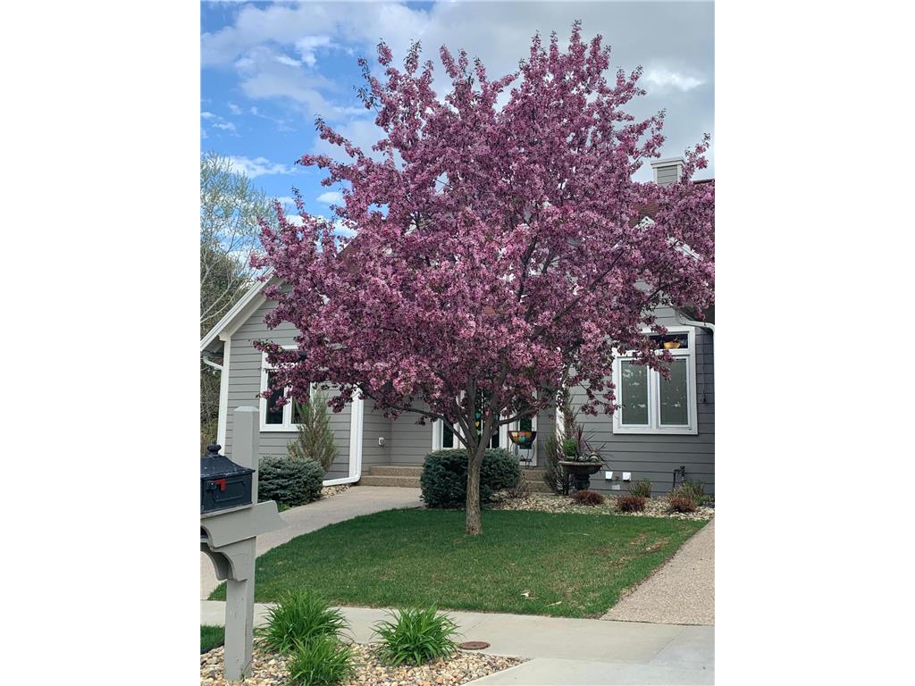 368 Eagle Nest Lane SW, Rochester, MN, 55902 MLS 6489903 Edina Realty