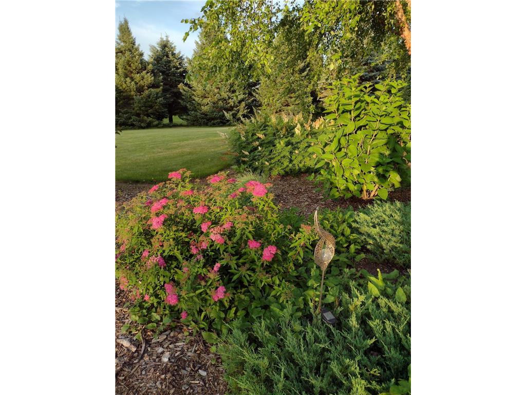 3680 Arlington Lane SE Marion Twp MN 55904 7036489 image67