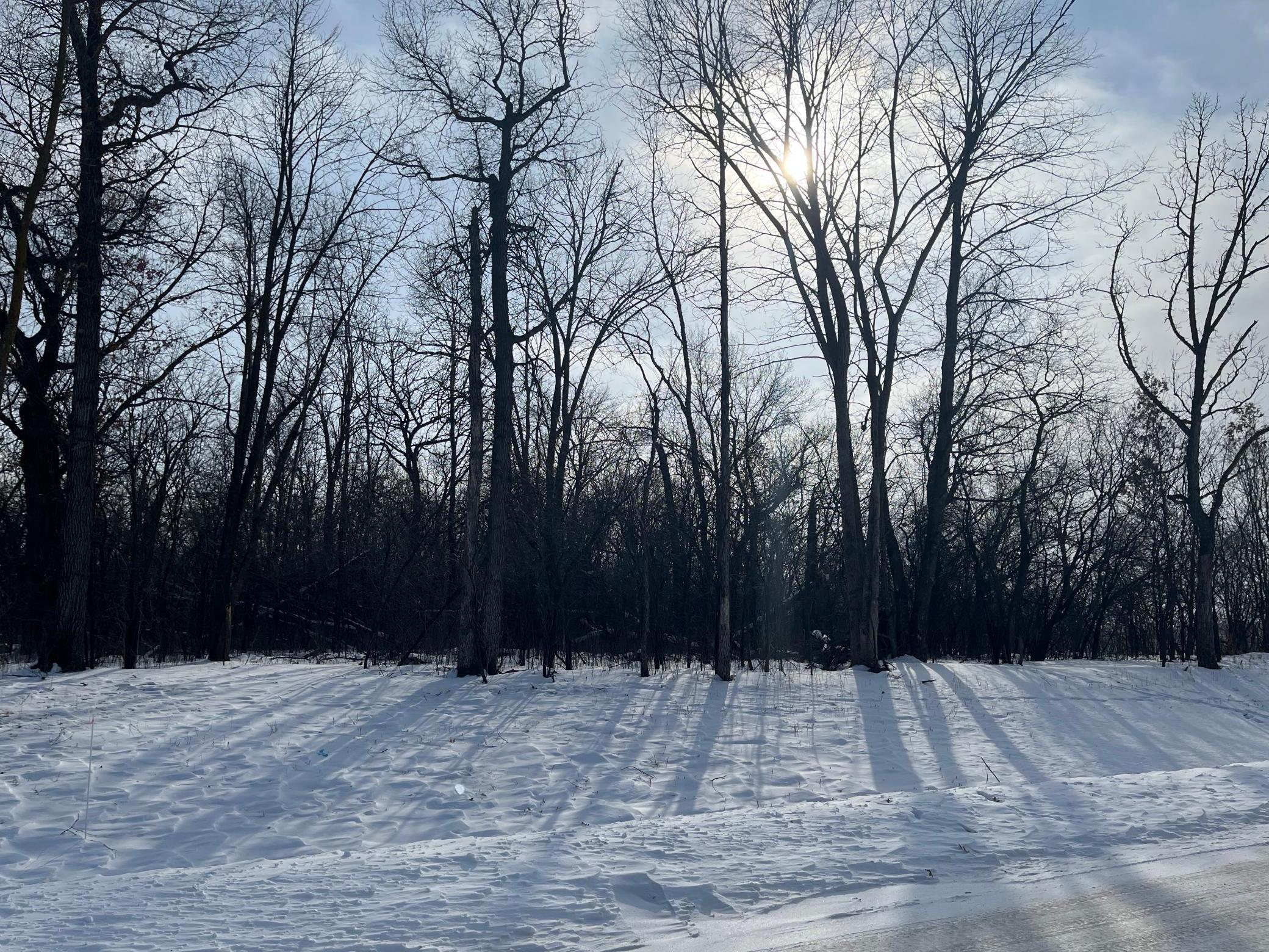 3682 Trophy Woods Lane SW, Rochester, MN, 55902 MLS 6149449 Edina