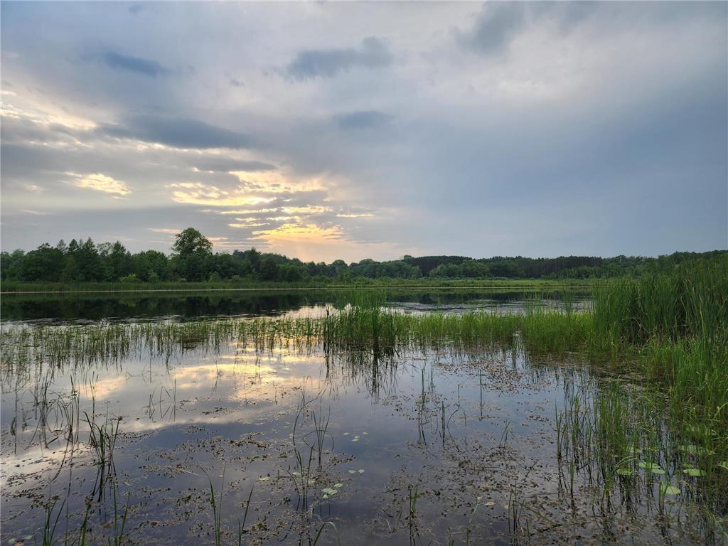 36822 Pine Knoll Road NE, Grandy, MN, 55029 MLS 6404799 Edina Realty