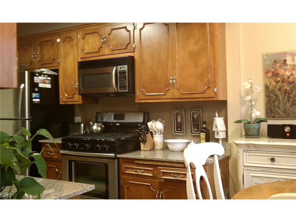 3685 Watertown Road Orono MN 55359 7042462 image54