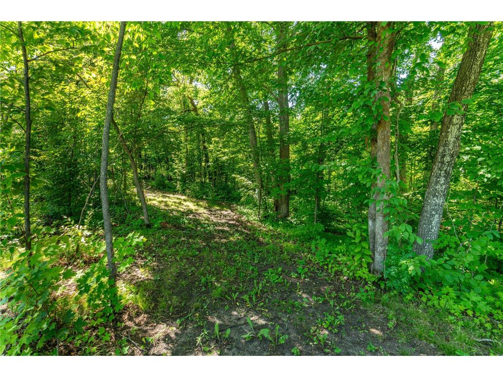 36859 Rodel Trail Richville MN 56576 - Dead Lake 7069339 image101