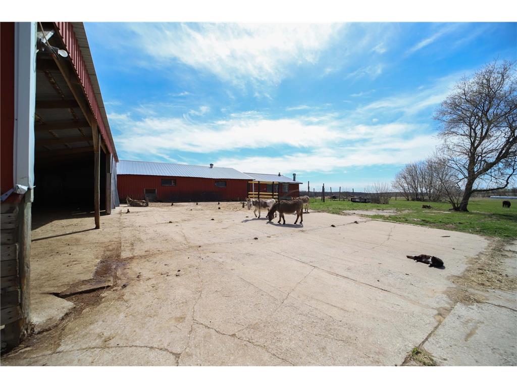 36879 207th Avenue Clarissa MN 56440 7062598 image46