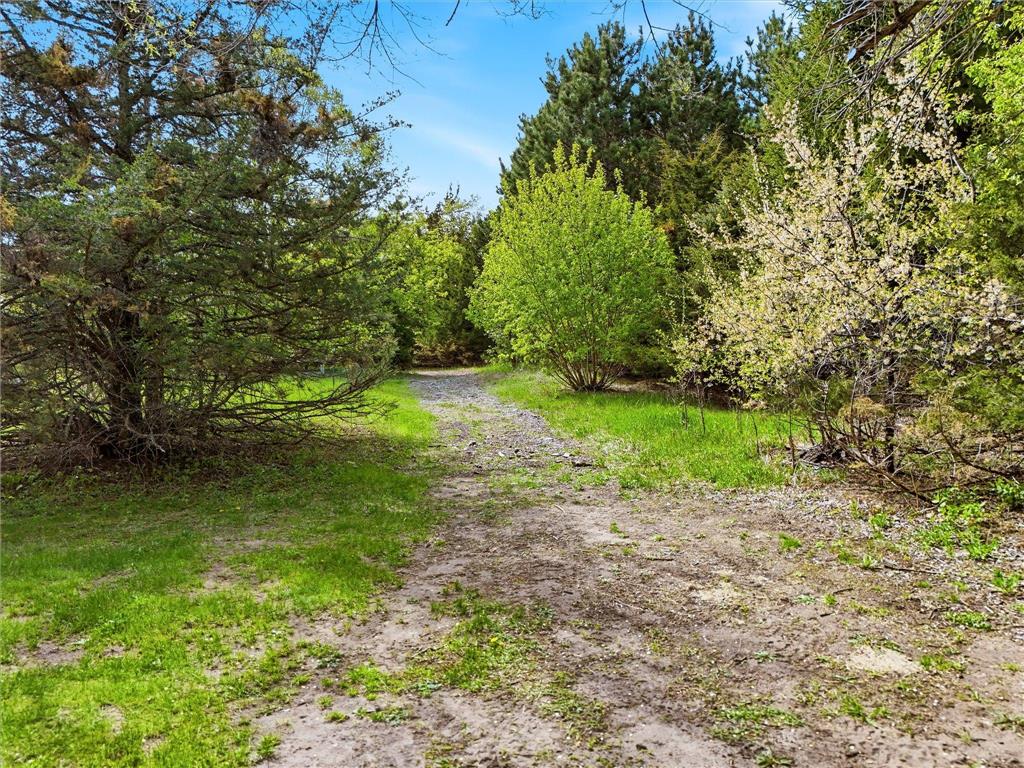 3691 180th Avenue NW Andover MN 55304 7058030 image113