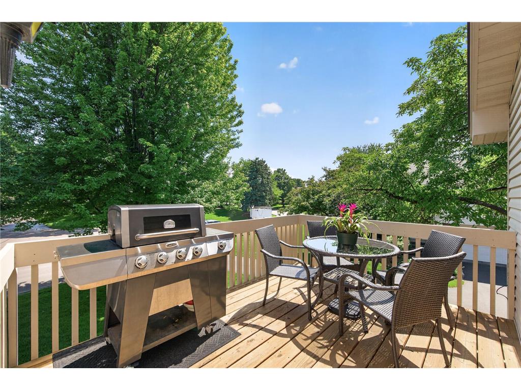 3693 118th Lane NW Coon Rapids MN 55433 7077456 image35