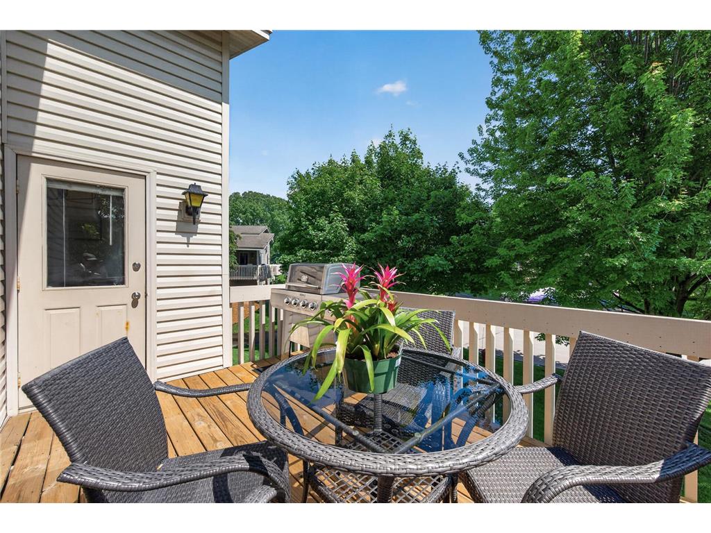 3693 118th Lane NW Coon Rapids MN 55433 7077456 image36