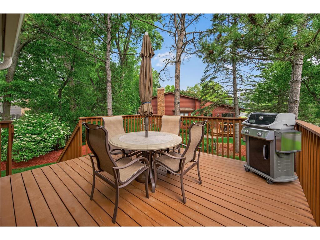 3694 Windtree Drive Eagan MN 55123 7074177 image31
