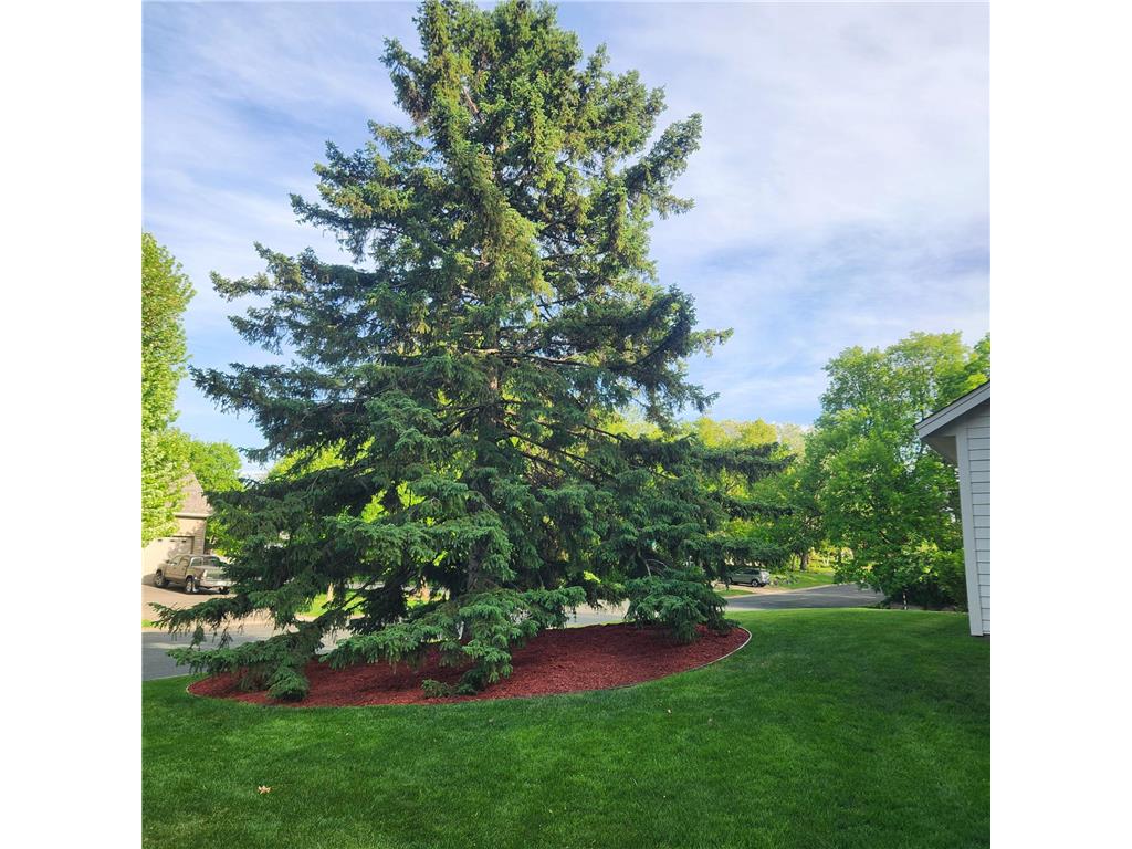 3694 Windtree Drive Eagan MN 55123 7074177 image36
