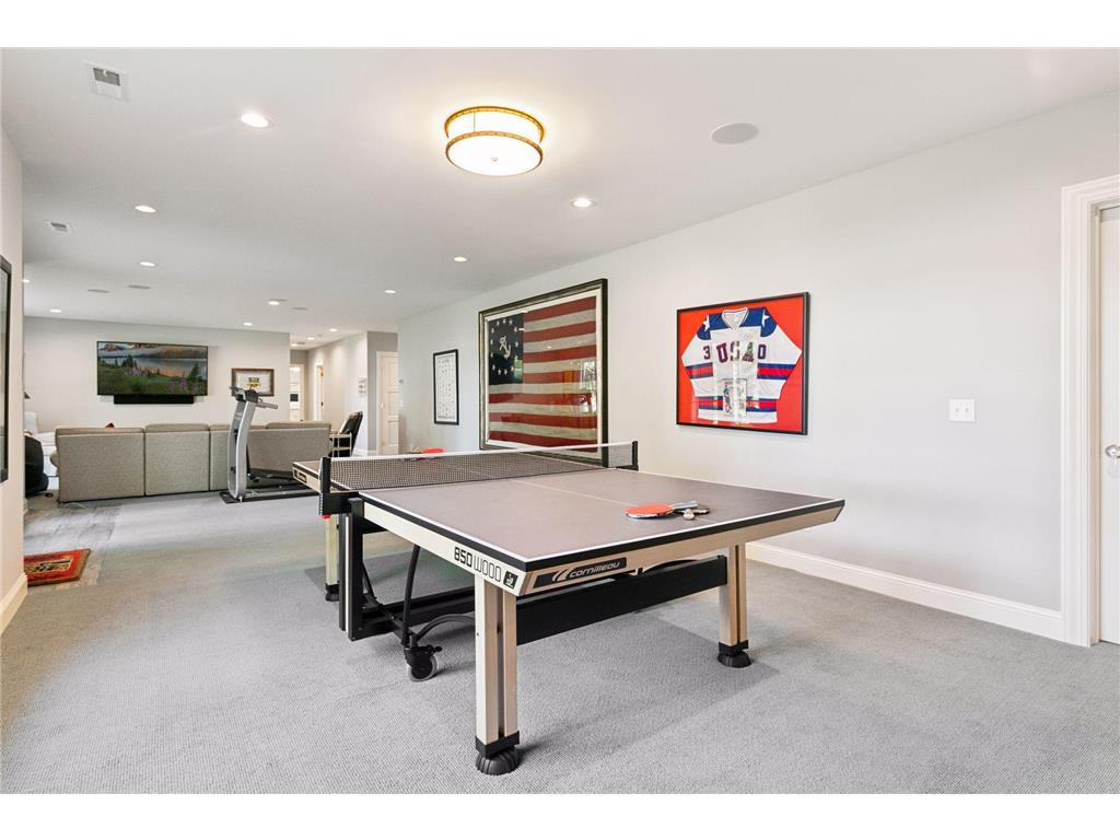 3698 Woodland Cove Parkway Minnetrista MN 55331 - Lake Minnetonka 6779566 image60