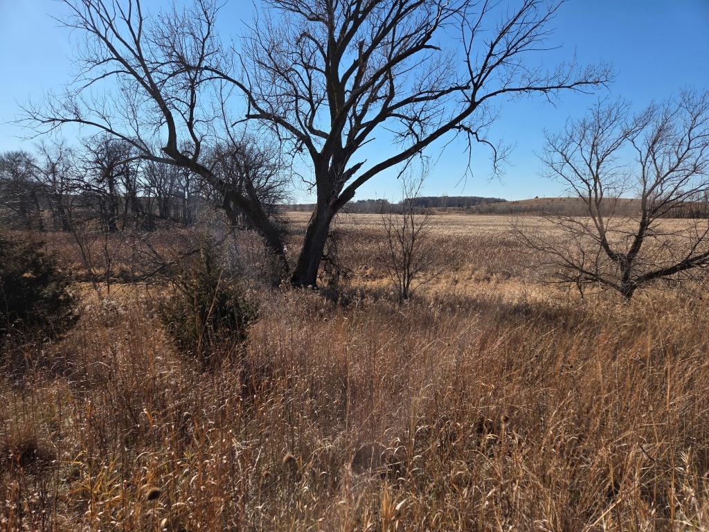 36999 141st Lane Montgomery MN 56069 7008425 image1