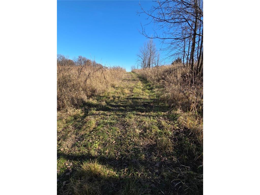 36999 141st Lane Montgomery MN 56069 7008425 image11
