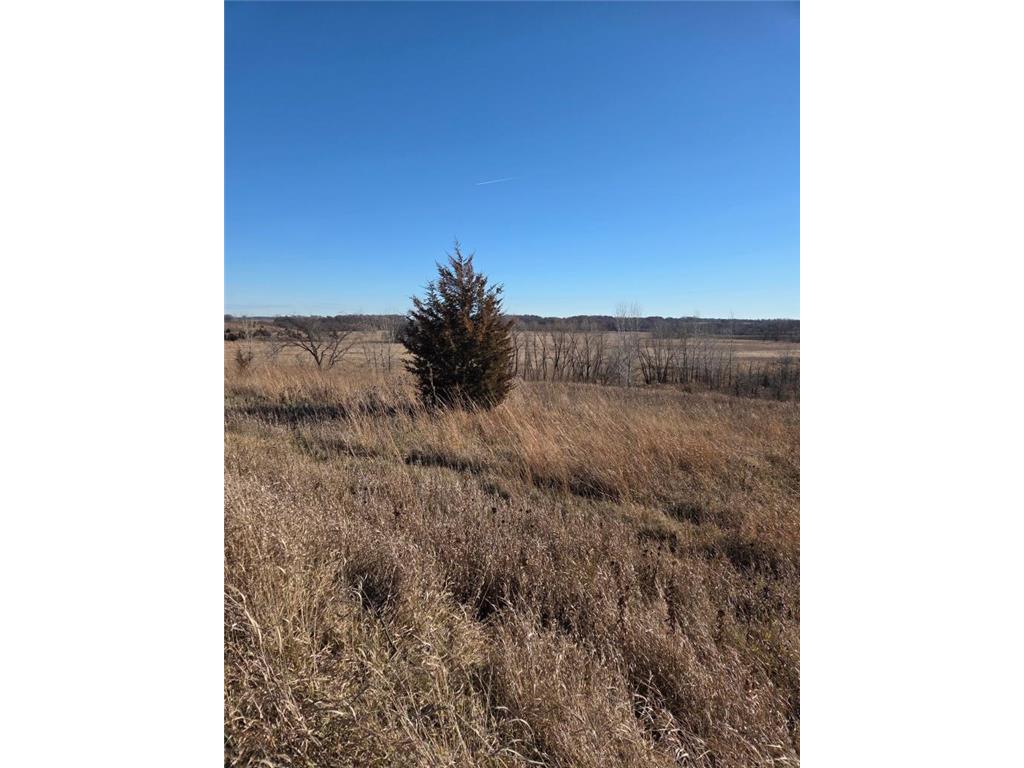36999 141st Lane Montgomery MN 56069 7008425 image12