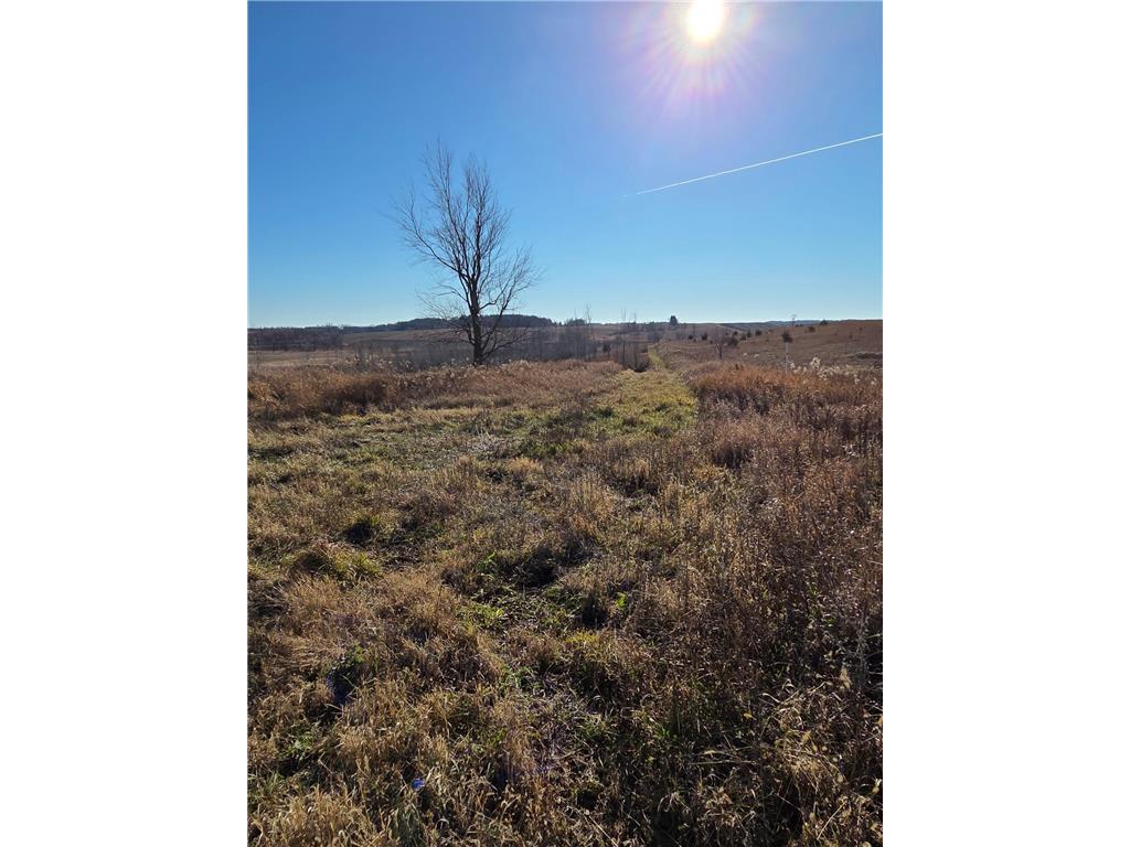 36999 141st Lane Montgomery MN 56069 7008425 image13