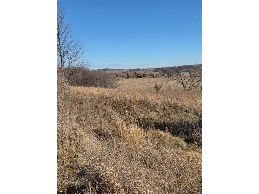 36999 141st Lane Montgomery MN 56069 7008425 image14