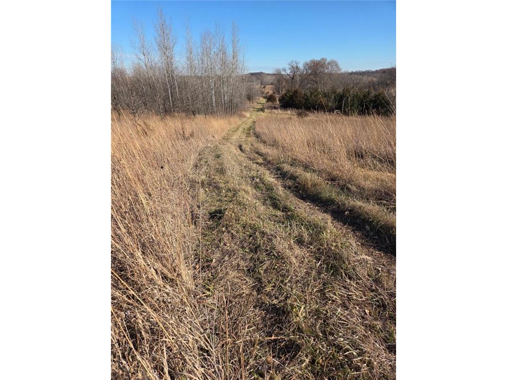 36999 141st Lane Montgomery MN 56069 7008425 image15