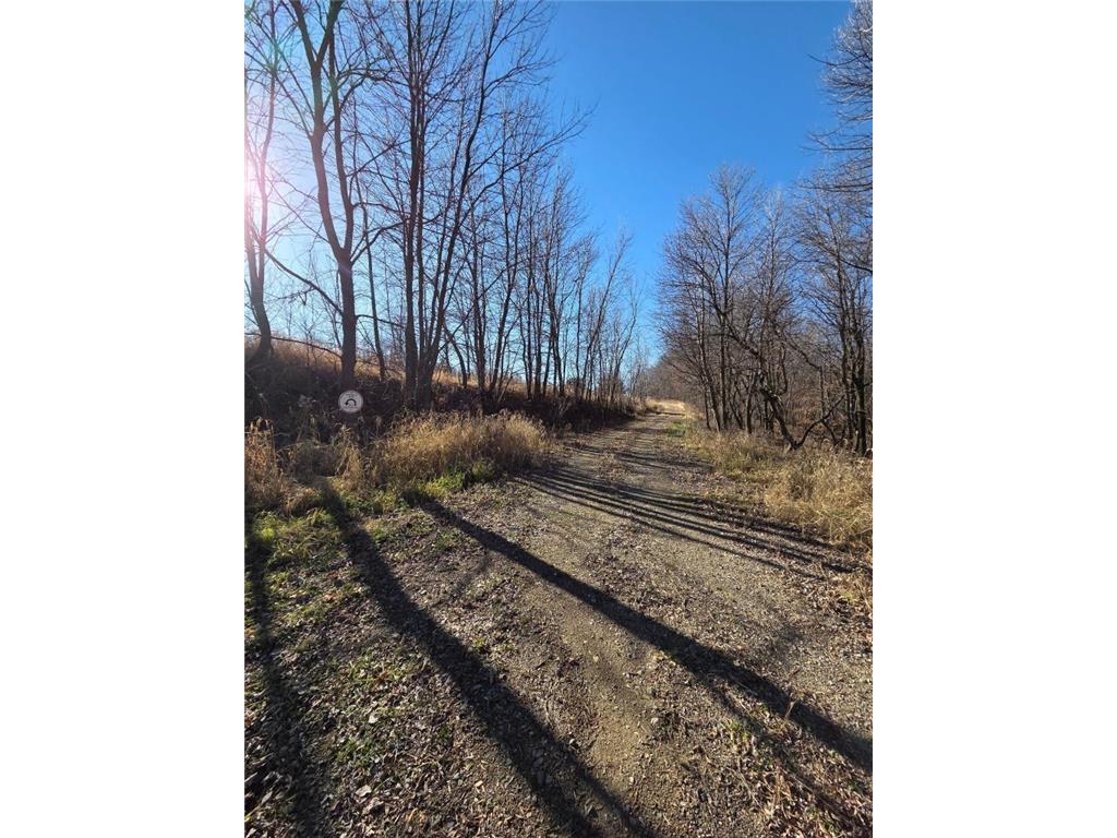 36999 141st Lane Montgomery MN 56069 7008425 image17