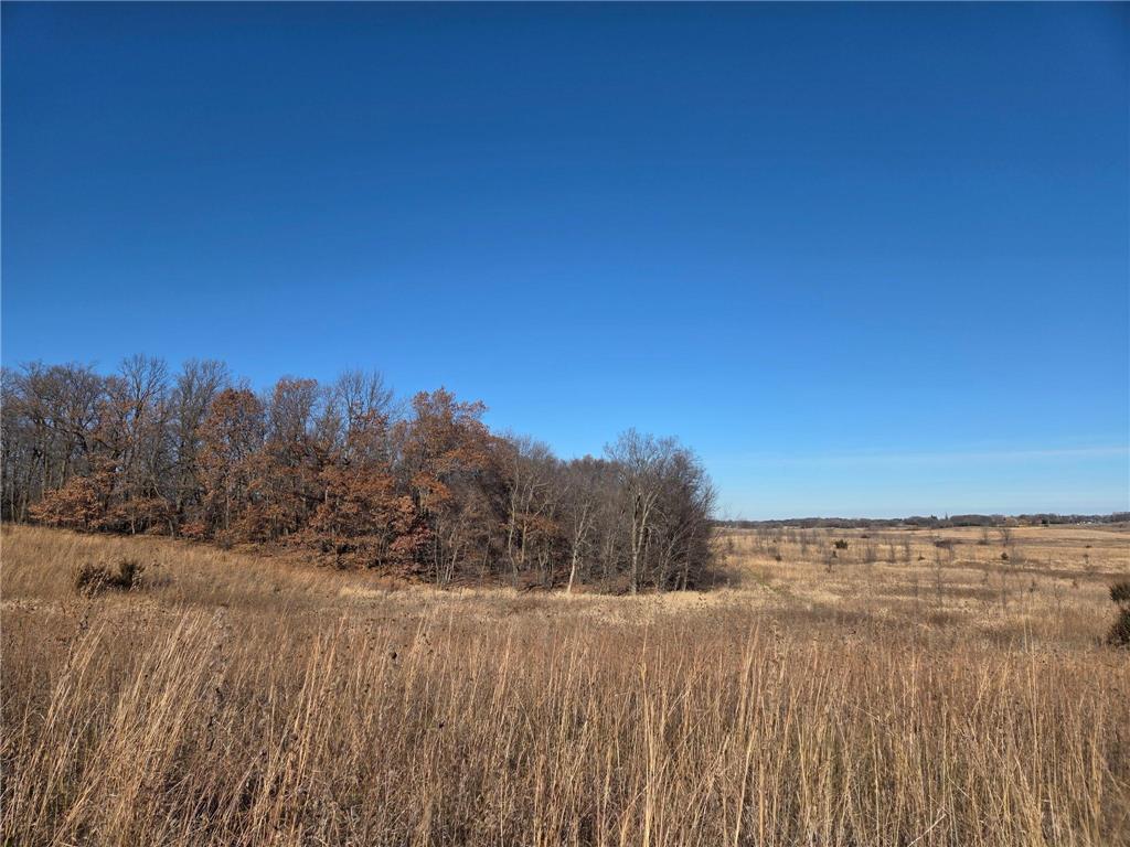 36999 141st Lane Montgomery MN 56069 7008425 image2