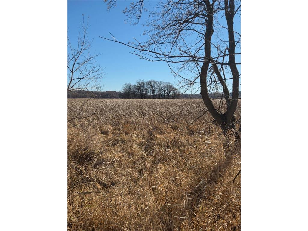 36999 141st Lane Montgomery MN 56069 7008425 image20